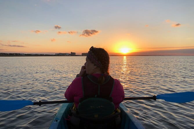 Sunset Dolphin Kayak Tours - Practical Tips for Participants