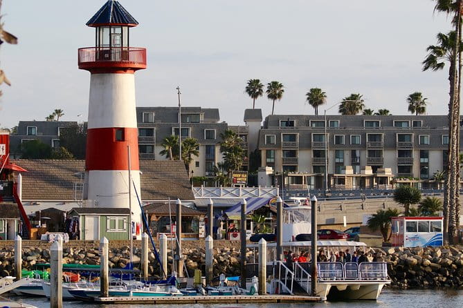 Shared Two-Hour Whale Watching Tour from Oceanside - The Sum Up