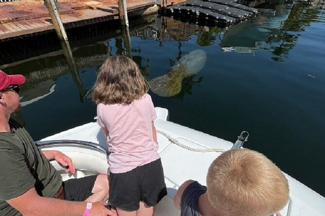 Small Group Florida Keys Eco Tour by Boat - Final Thoughts: Is It Worth It?