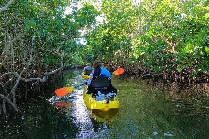 Mangrove Tunnel Kayak Adventure in Key Largo - Authentic Experiences and Authenticity
