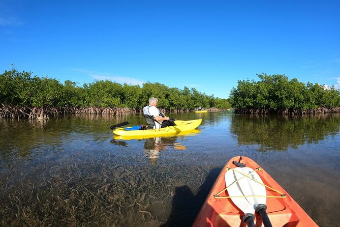 Mangrove Tunnel Kayak Adventure in Key Largo - Practical Details