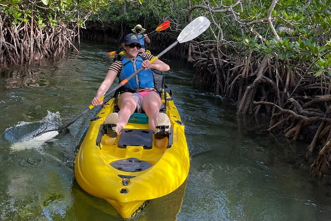 Mangrove Tunnel Kayak Adventure in Key Largo - The Sum Up: Is This Tour Worth It?
