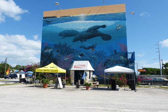 Try Scuba Diving with Professional Scuba Instructor - Key Points