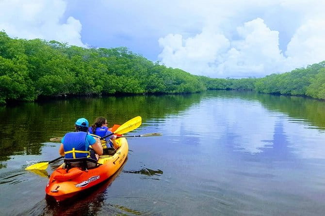 Mangroves and Manatees - Guided Kayak Eco Tour - Final Thoughts