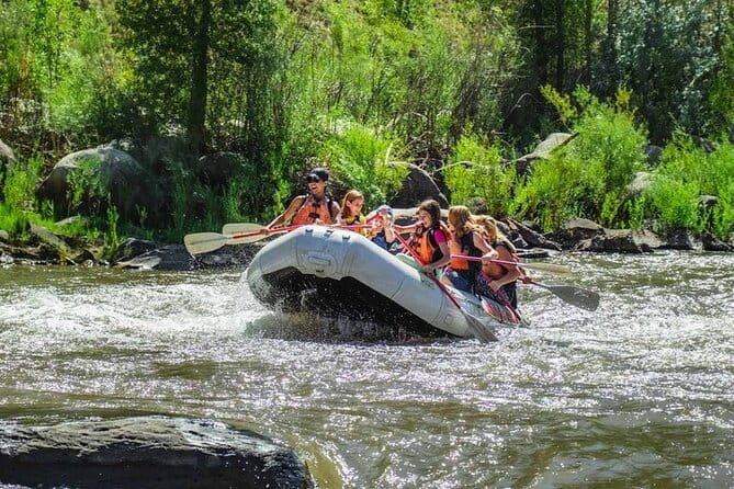 Durango Half Day Rafting Trip - Lower Animas River - The Sum Up: Who Is This Trip Best For?