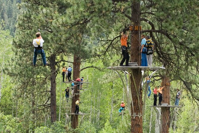 All-Day Guided Zipline Tour with Train Ride and Lunch in Durango - Lunch in the Canopy: A Gourmet Treat