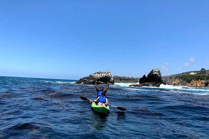Laguna Beach Open Ocean Kayaking Tour with Sea Lion Sightings - Why This Tour is a Great Choice