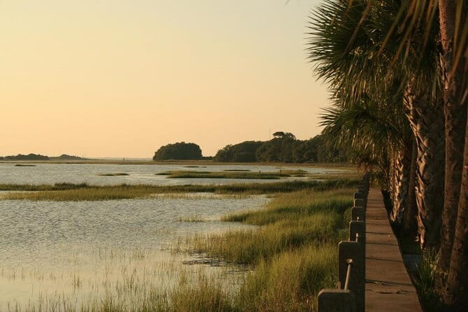 Jekyll Island Dolphin Tours - Who Will Enjoy This Tour?