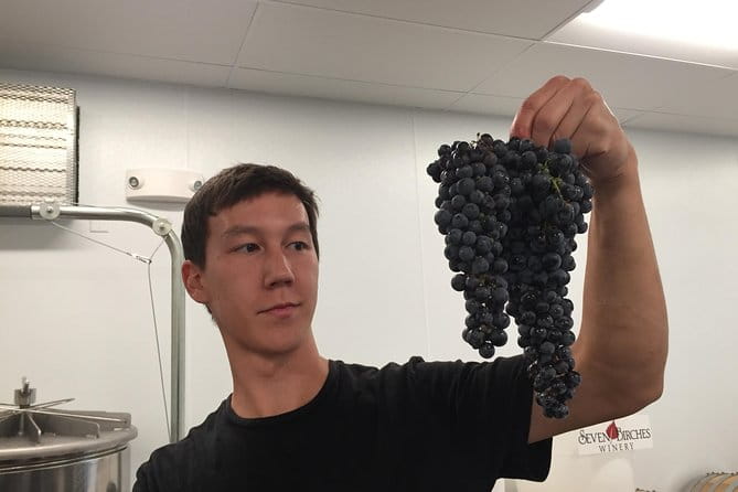 Meet the Winemakers - Seven Birches Winery Tour - Who Would Enjoy This Tour?