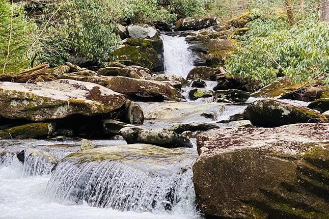 Thundering Streams and Falls of the Smokies Guided Hiking Tour - Who Will Love This Tour?