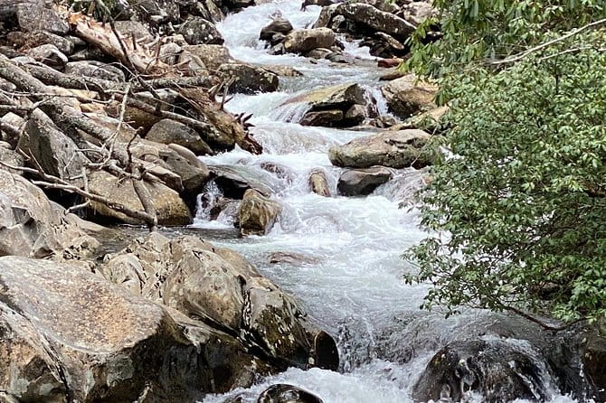 Thundering Streams and Falls of the Smokies Guided Hiking Tour - Who Should Consider This Tour?