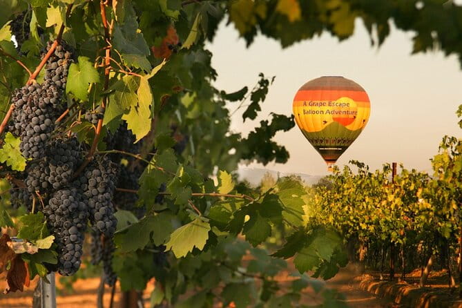 Sunrise Hot Air Balloon Flight over the Temecula Wine Country - A Detailed Look at the Temecula Balloon Flight Experience