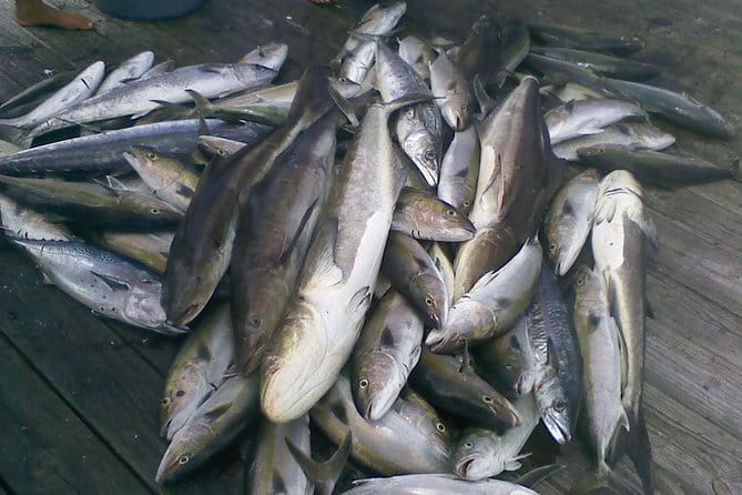 Half-Day Deep-Sea Fishing at Riviera Beach - The Crowd Factor and Group Size