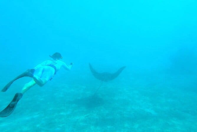 2 ½ - Hour Guided Snorkel Tour of Phil Foster Park, Free Videos! - The Sum Up