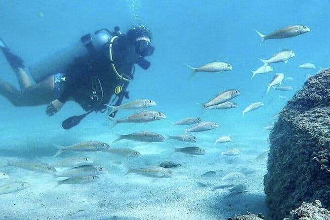 Beginner Scuba Diving Experience With Videos in West Palm Beach - Practical Details and Tips