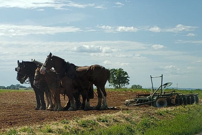 Unique Amish Immersion in Lancaster - Final Thoughts