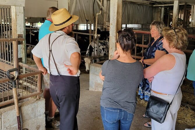 Unique Amish Immersion in Lancaster - Transportation and Timing