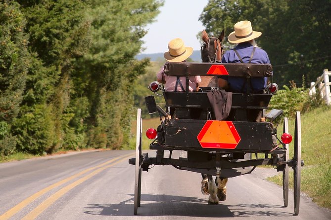Premium Amish Country Tour including Amish Farm and House - The Historic Farmhouse Tour: A Peek Into Amish Domestic Life