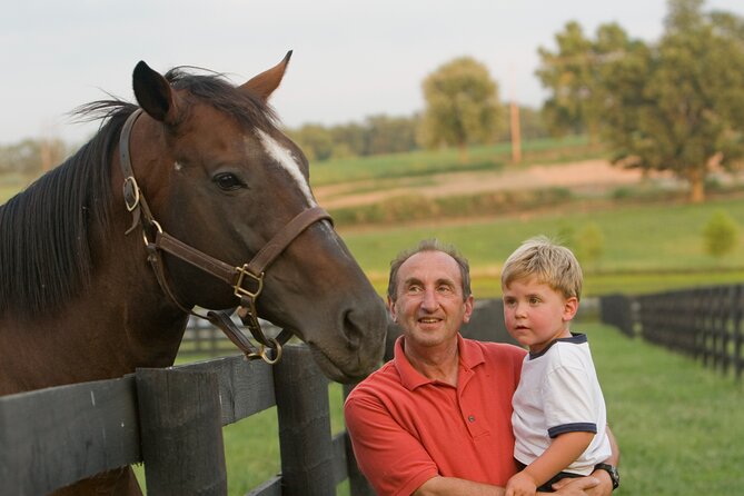 Half-Day Thoroughbred Horse Farm Tour in Kentucky - An In-Depth Look at the Kentucky Horse Country Tour