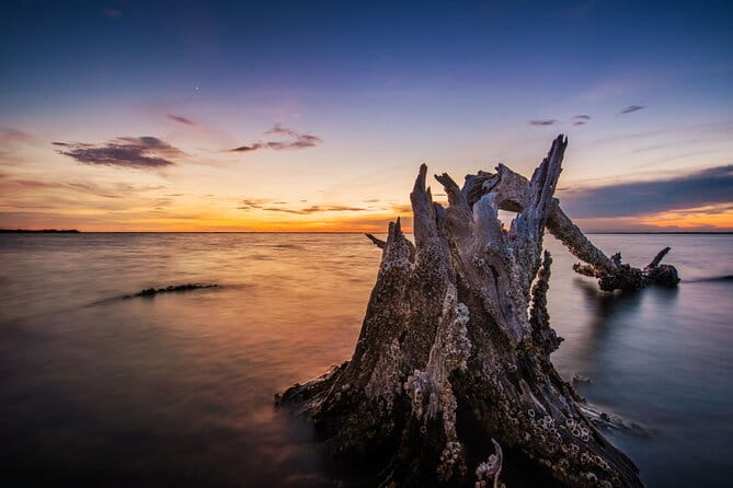 Clear Kayak Guided Kayak Tours in Titusville - Final Thoughts