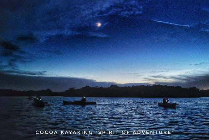 Thousand Islands Bioluminescent Kayak Tour with Cocoa Kayaking! - The Sum Up: Is It Worth Your While?