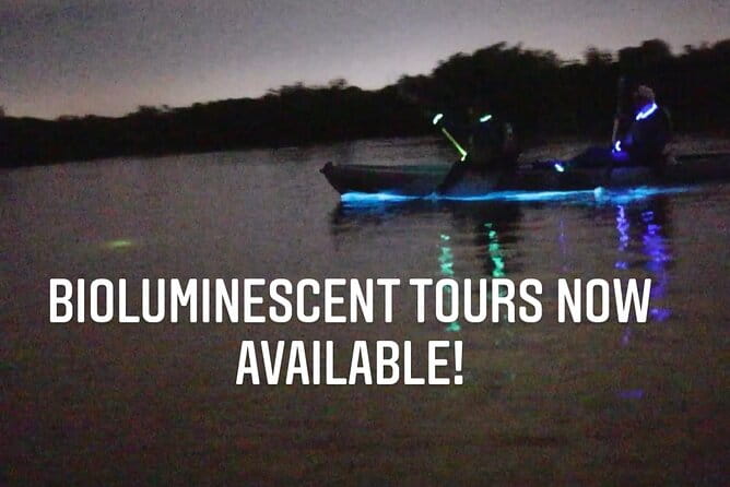 Thousand Islands Bioluminescent Kayak Tour with Cocoa Kayaking! - The Practicalities and How They Impact Your Experience