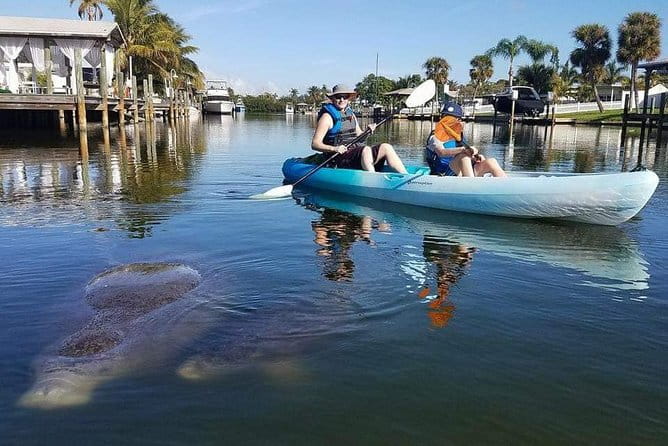 Thousand Island Mangrove Tunnel, Manatee & Dolphin Kayak Tour w/Cocoa Kayaking - Final Thoughts