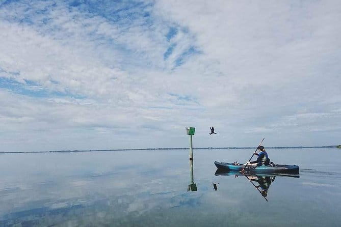 Thousand Island Mangrove Tunnel, Manatee & Dolphin Kayak Tour w/Cocoa Kayaking - Who Will Love It?
