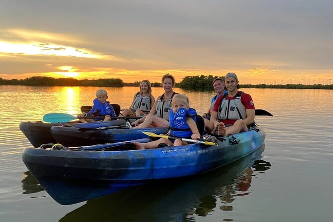 Thousand Islands Mangrove Tunnel & Bio Comb Jelly Sunset Tour - Who will love this tour?