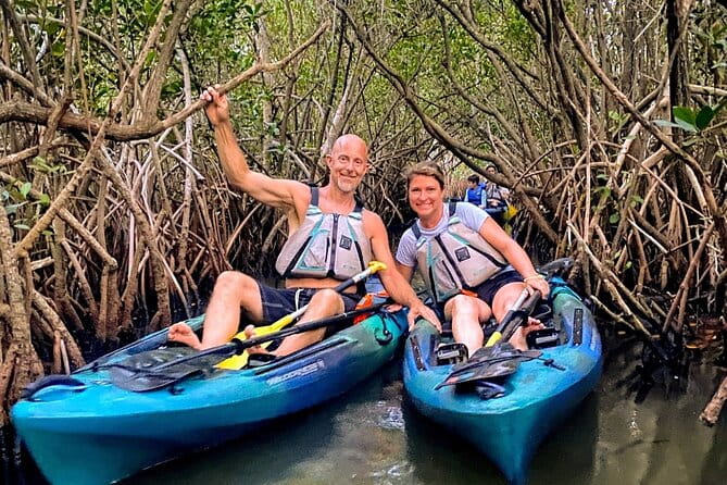 Thousand Islands Mangrove Tunnel & Bio Comb Jelly Sunset Tour - The Sum Up