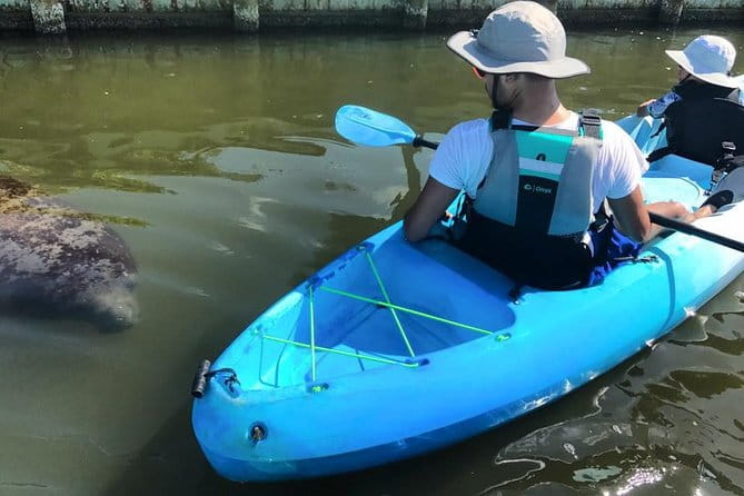 Wildlife Refuge Manatee, Dolphin & Mangrove Kayak or Paddleboarding Tour! - Itinerary Breakdown and What to Expect