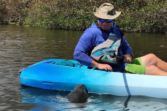 Wildlife Refuge Manatee, Dolphin & Mangrove Kayak or Paddleboarding Tour! - Who This Tour Is Perfect For