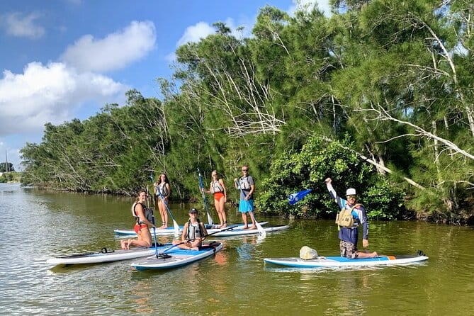 Wildlife Refuge Manatee, Dolphin & Mangrove Kayak or Paddleboarding Tour! - Practical Tips for Your Trip