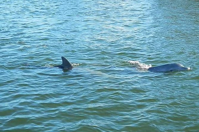 Guided Two Hour Boat Tour of the Indian River Lagoon - The Sum Up: Who Should Book This Tour?