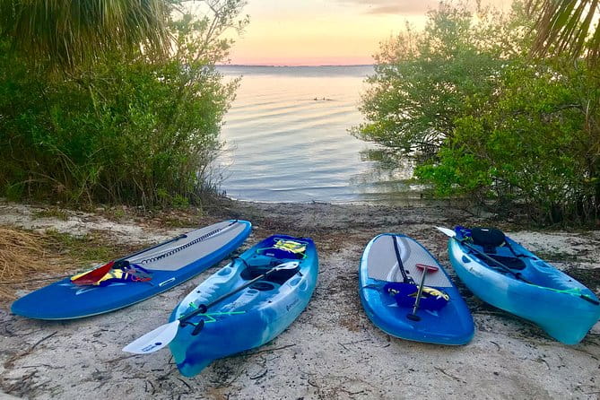 Paddle Board or Kayak Eco Dolphin Manatee Tour - Analyzing the Value