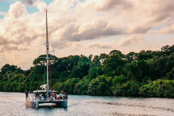 Dolphin Adventure Sail in Cocoa Beach - Key Points