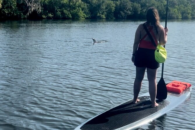 Dolphin and Manatee Kayak and SUP Adventure Tour of Cocoa Beach - Detailed Breakdown of the Tour