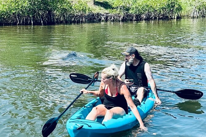 Dolphin and Manatee Kayak and SUP Adventure Tour of Cocoa Beach - FAQ: Your Practical Questions Answered