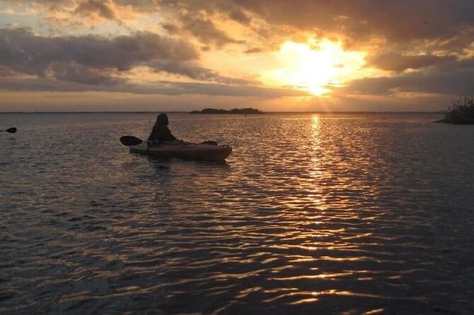 Manatees/Sunset/Bioluminescence Tour - The Itinerary: What to Expect