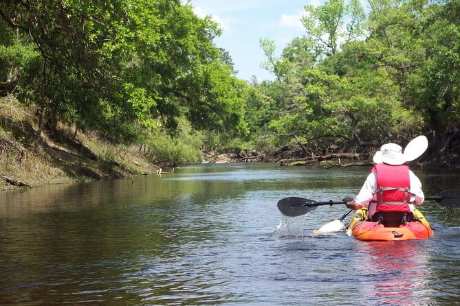 Manatees/Sunset/Bioluminescence Tour - FAQ: Your Questions Answered