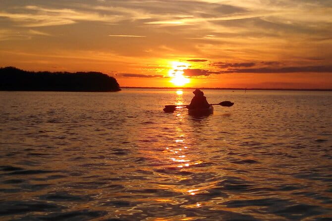 Sunset Bioluminescence Tour - FAQ