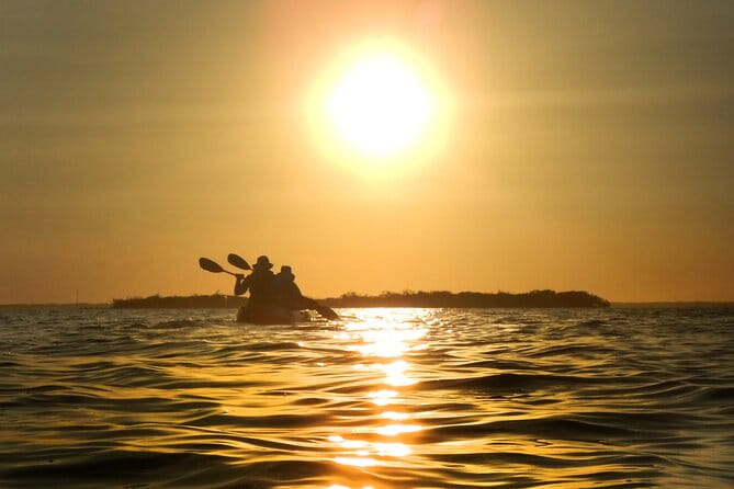 Sunset Bioluminescence Tour - The Real Deal: What Travelers Say
