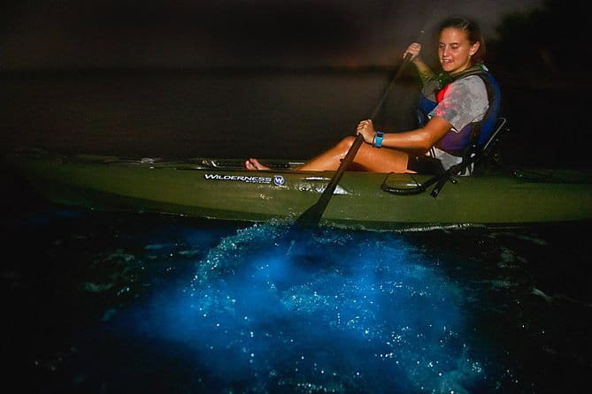 Sunset Bioluminescence Tour - The Sum Up: Is the Sunset Bioluminescence Tour Right for You?
