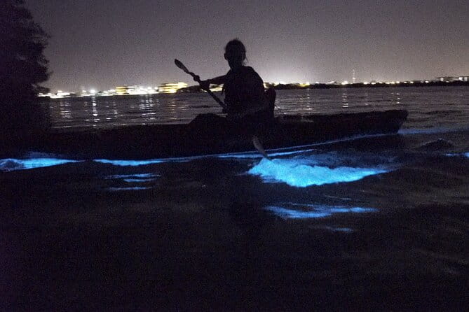 Bioluminescence Kayak Tour - The Real Value of This Tour
