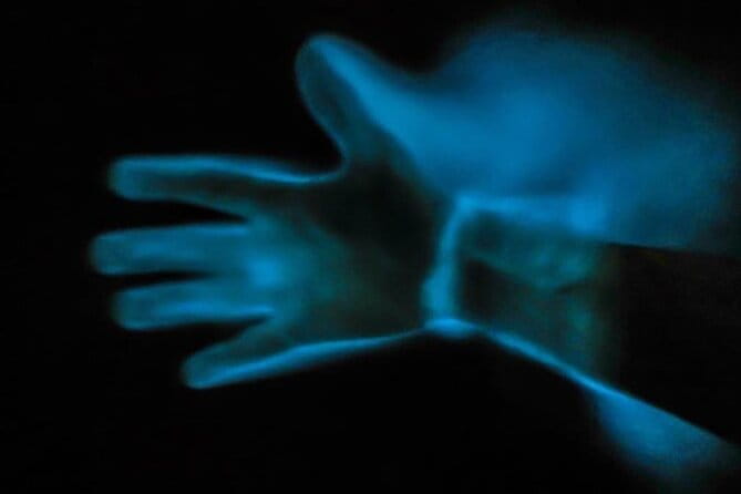 Bioluminescence Kayak Tour - The Sum Up