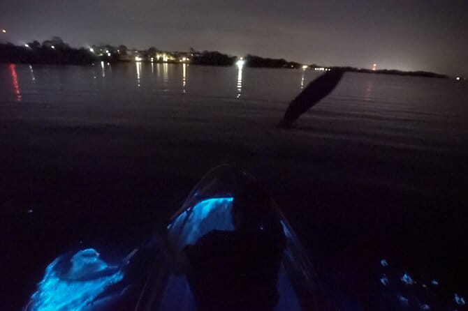 Clear Kayak Bioluminescence Tour - What Makes This Tour Stand Out?