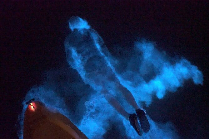 Clear Kayak Bioluminescence Tour - The Bottom Line: Is It Worth It?