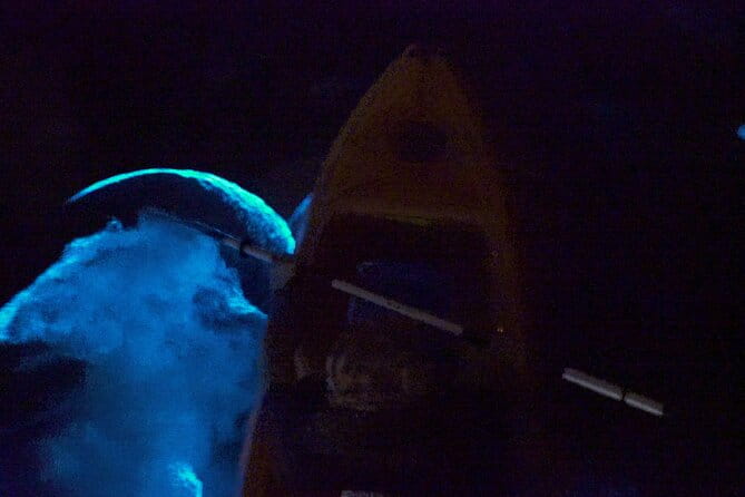 Clear Kayak Bioluminescence Tour - FAQ: Your Questions Answered