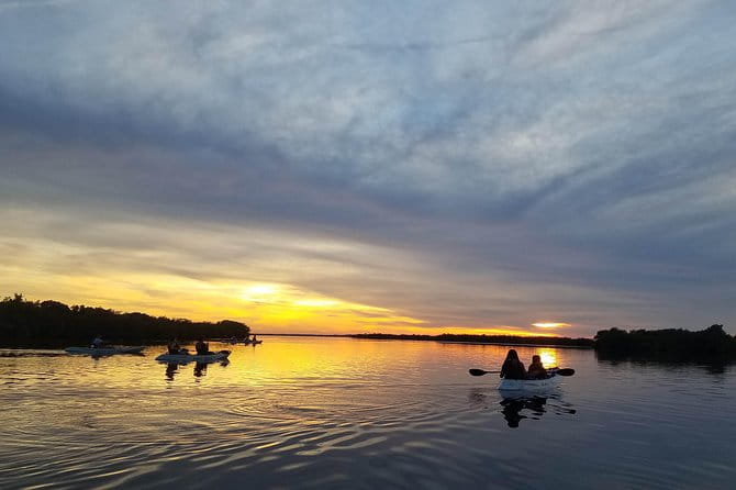 Mangrove Tunnels, Dolphins, Manatee Tour #1 Rated in Cocoa Beach - What Travelers Are Saying