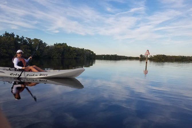 Mangrove Tunnels, Dolphins, Manatee Tour #1 Rated in Cocoa Beach - Who Should Book This Tour?